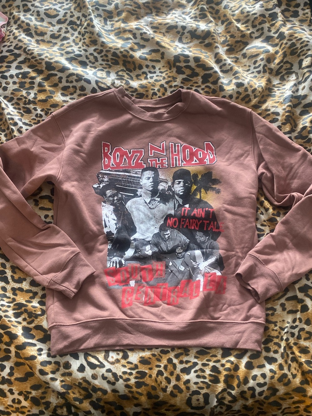 Cool Retro Boys N The Hood Graphic Sweatshirt